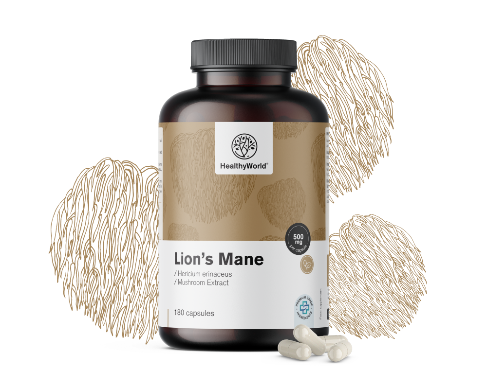 Hericium (coama leului) - ciupercă