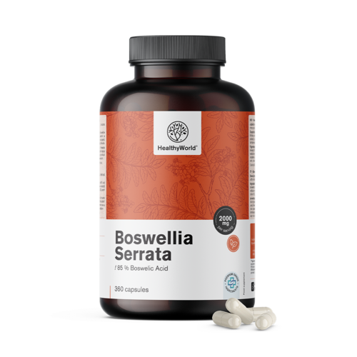 Boswellia (Boswellia serrata) – 85% acizi boswellici, 360 de capsule