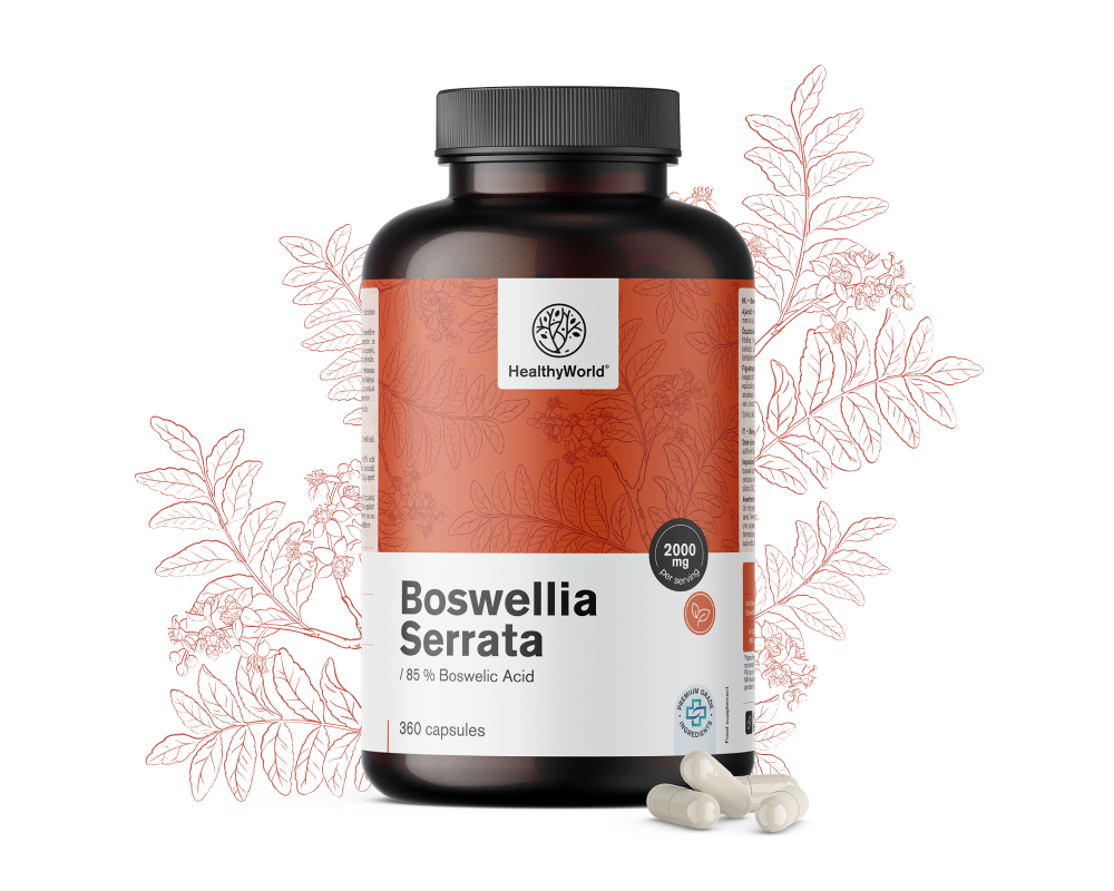 Boswellia (Boswellia Serrata) – 85% acid boswellic