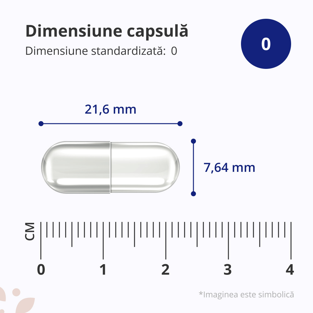 Complex prostată, 120 de capsule - HealthyWorld.ro